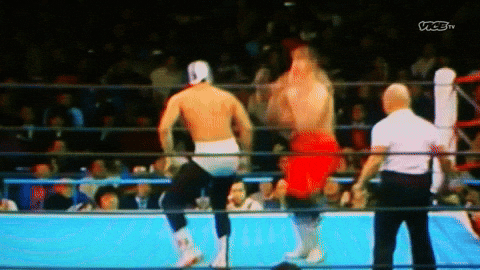Wwe Hulk Hogan Drop Kick GIF
