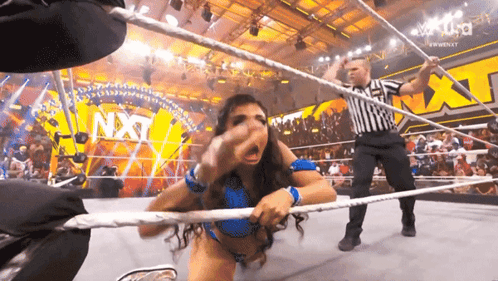 Wwe Lola Vice Dragged Away GIF