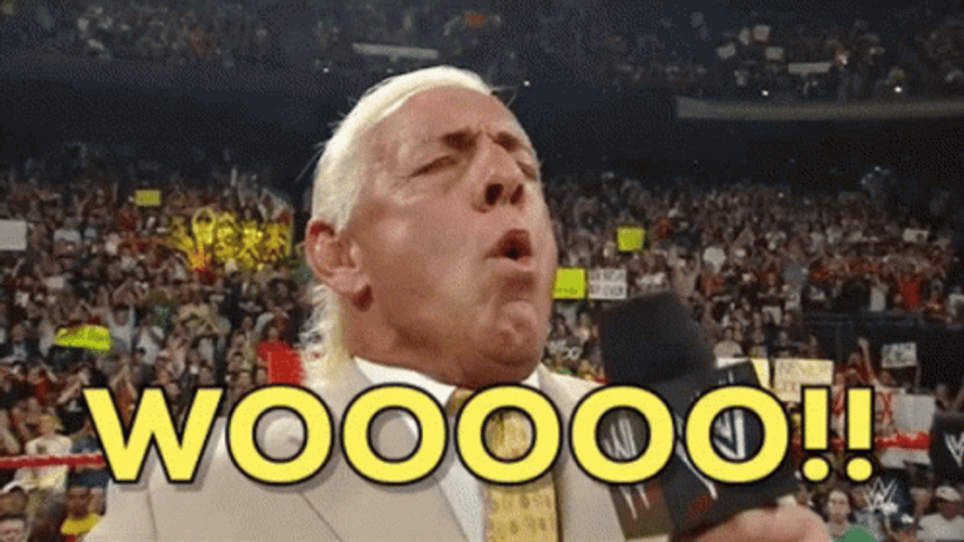 WWE Ric Flair Powerful Woooo GIF