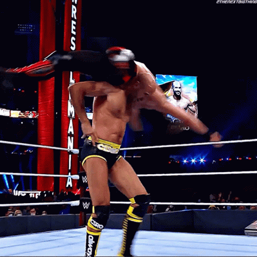 WWE Seth Rollins Body Slam Cesaro GIF