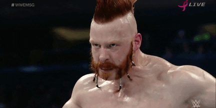 Wwe Sheamus Drop Kick GIF