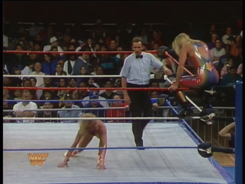 WWE Wrestling Match Broadcast GIF