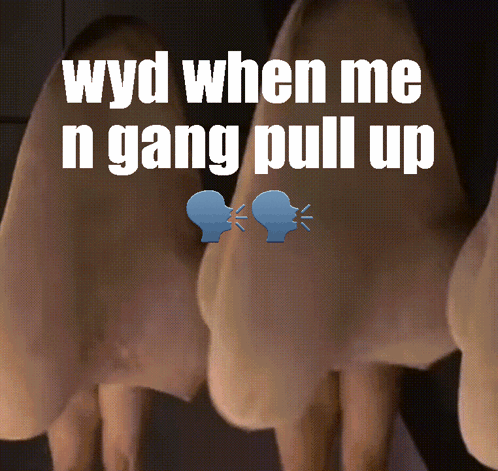 Wyd When Me N Gang Pull Up On Nose