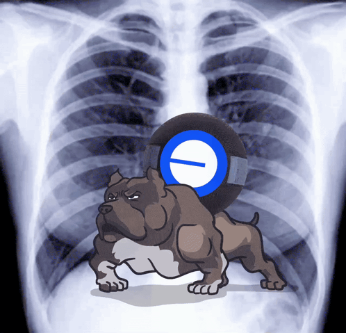 X-Ray Dog With Tire on Back