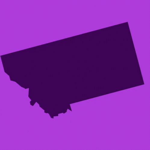 Xander For Us Senate GIF