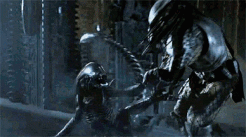 Xenomorph Vs Predator GIF