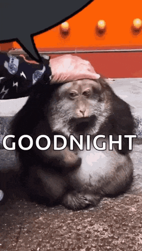 Xinging Xinging Monkey Gif GIF