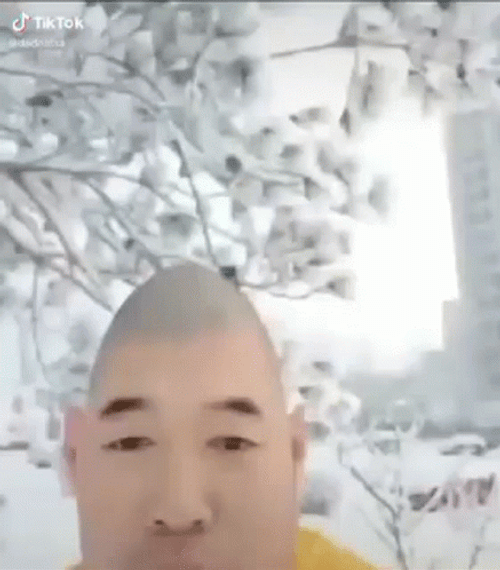 Xue Hua Piaon Piao Chinese Man In Snow GIF