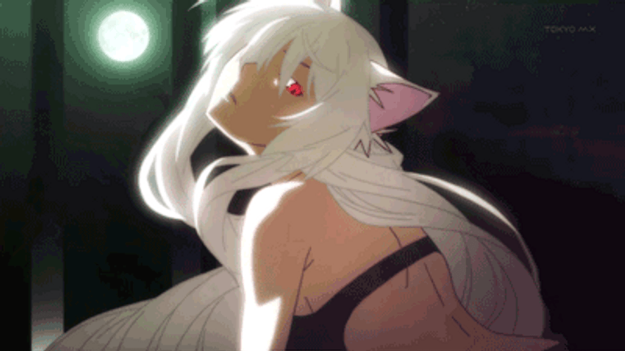 neko-gifs-gifdb