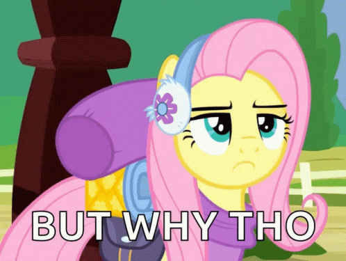 Y Tho My Little Pony Fluttershy GIF