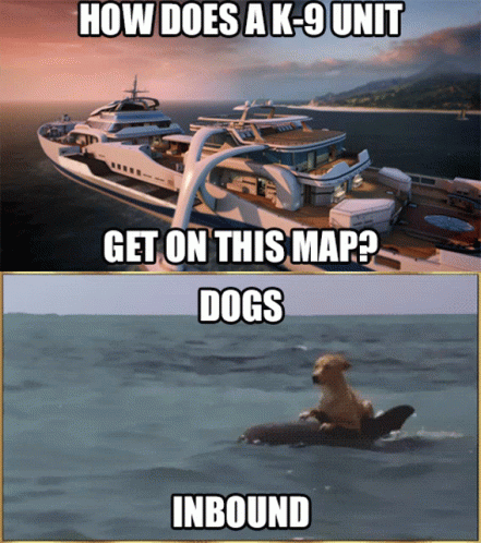 Yacht and Dog on Surfboard