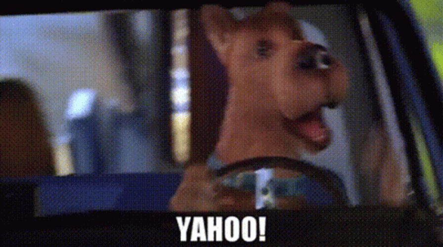 Yahoo Scooby Driving Car GIF
