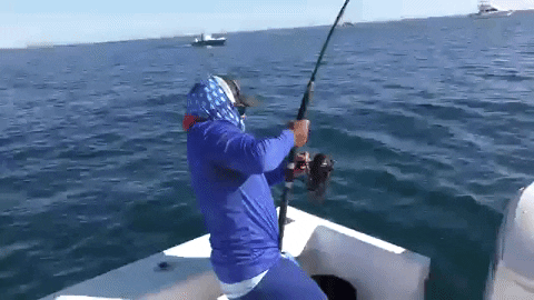 Yank Fishing Large Fish GIF