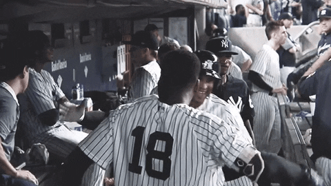 Yankees Sweep Dug Out Celebration GIF