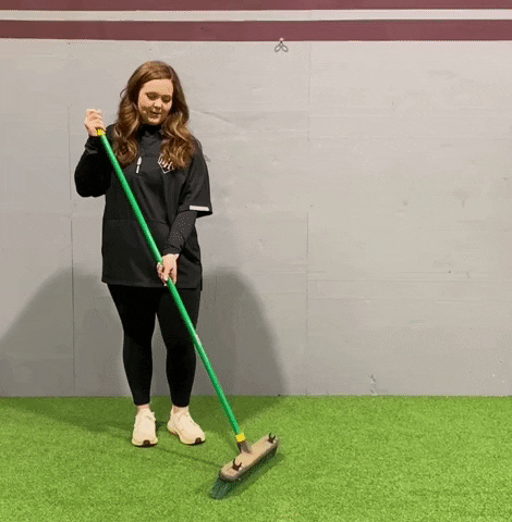 Yankees Sweep Energetic Fan GIF