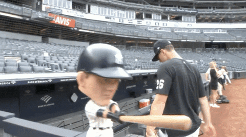 Yankees Sweep Funny Bobble Head GIF