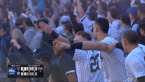 Yankees Win Aaron Judge Went Crazy GIF