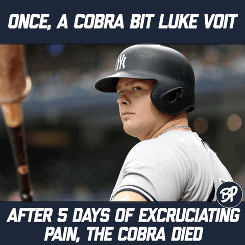 Yankees Win After Five Days Of Excruciating Pain GIF