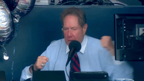 Yankees Win Announcer Went Crazy GIF