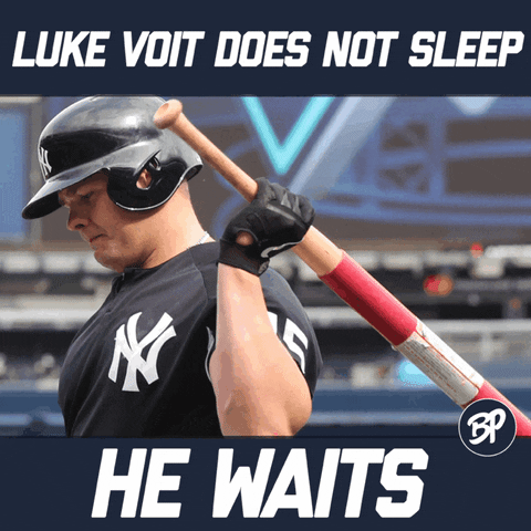 Yankees Win Luke Voit GIF