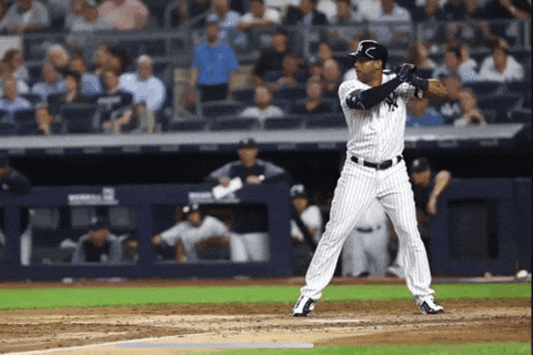 Yankees Win The Battle GIF