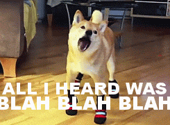 Yapping Talkative Cute Shiba Inu GIF
