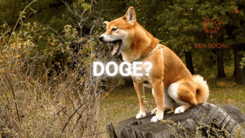 Yawning Big Doge Meme GIF