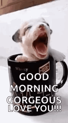 Yawning Puppy in Coffee Mug Saying Good Morning