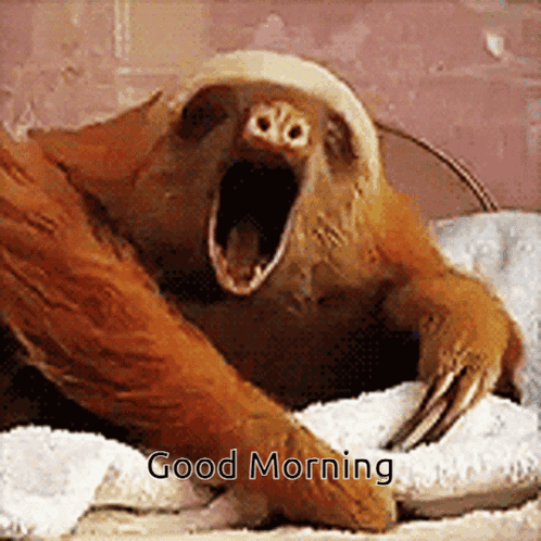 Yawning Sloth With Good Morning