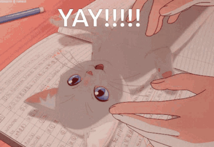 Yay Kissing Happy Cute Cat Anime Meme GIF 