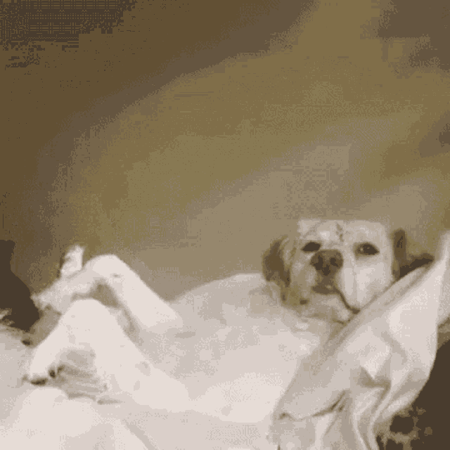 Yay Me I Did It Gif GIF