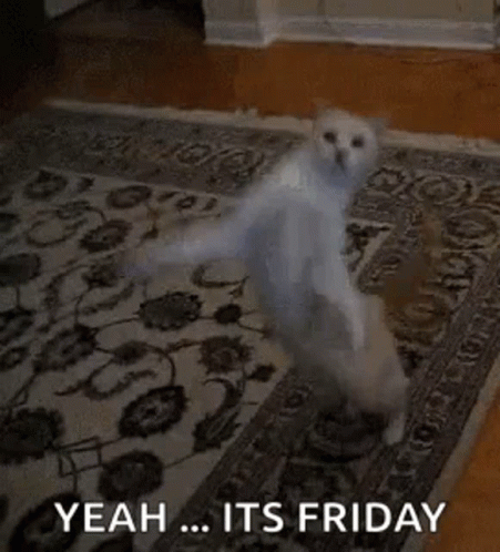 Yeah It's Friday Cat GIF