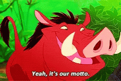 Yeah It's Our Motto Lion King Meme GIF