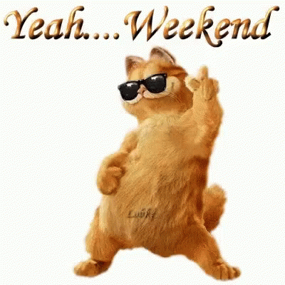Yeah Weekend Happy Garfield Dancing GIF