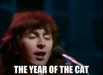 Year of the Cat