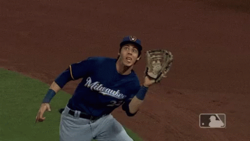 Yelich Catches Ball And Overrun To Audience GIF