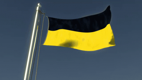 Yellow and Black Flag Waving