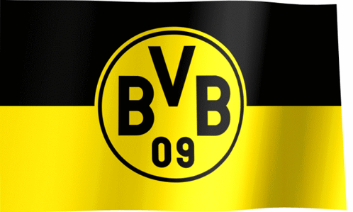 Yellow and Black Flag With BVB 09 in Circle