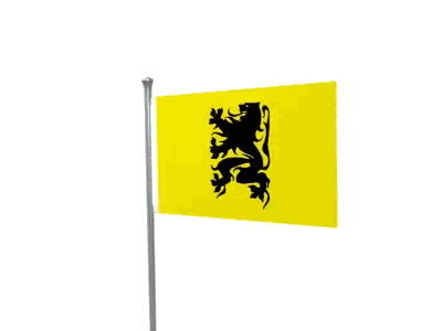 Yellow and Black Flag with Lion