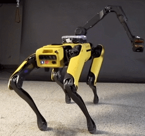 Yellow and Black Robot Walking