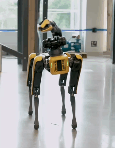 Yellow and Black Robot With Camera on Head