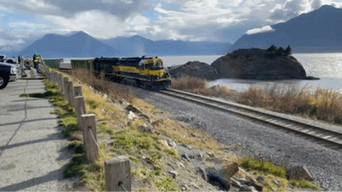 Yellow and Black Train Near Lake