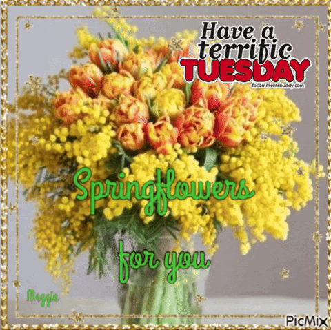 Yellow And Orange Bouquet Have A Terrific Tuesday Springflowers For You GIF