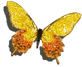 Yellow and Orange Glitter Butterfly