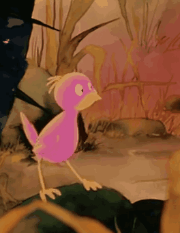 Yellow And Orange Parrot With Black Beak GIF