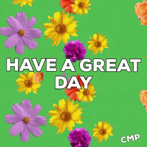 Yellow And Purple Flowers Have A Great Day GIF