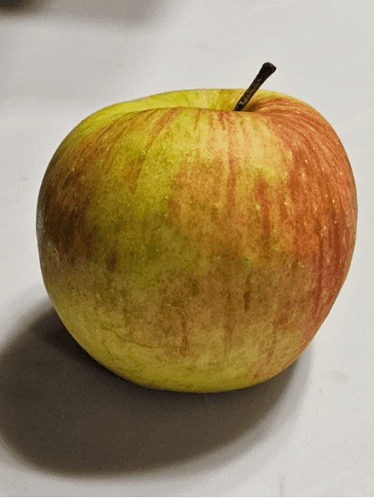 Yellow and Red Apple With Stem