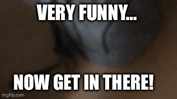 Yellow Backrooms Very Funny Meme GIF