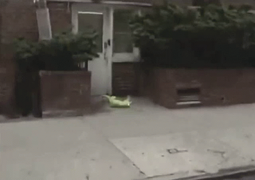 Yellow Bag On Sidewalk GIF