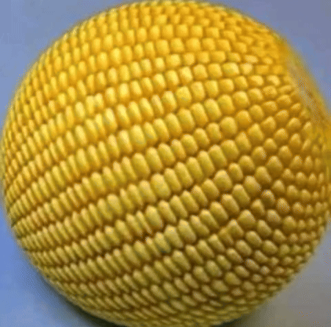 Yellow Ball Resembling Corn on the Cob